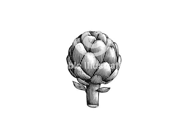 artichoke-woodcut