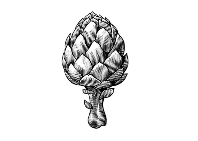 artichoke