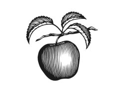 apple-woodcut-3
