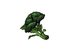broccoli