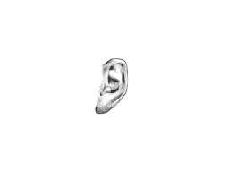 ear