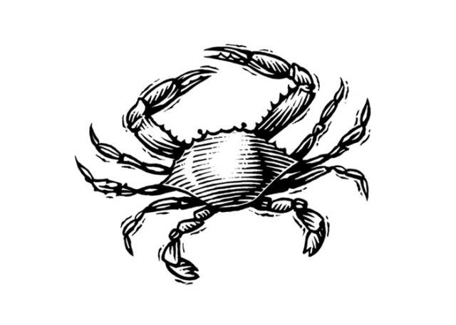 crab