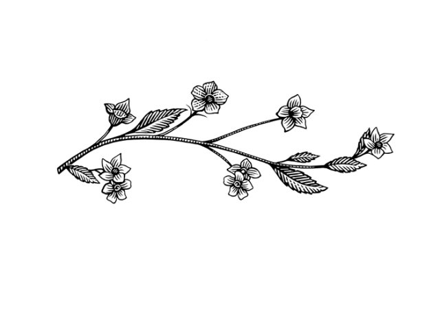 flower-branch