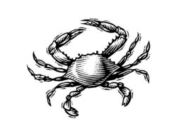 crab