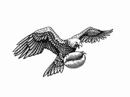 eagle-art