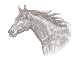 horse-engraving