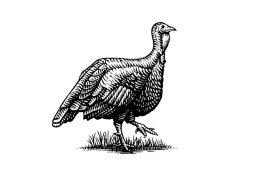 turkey-woodcut