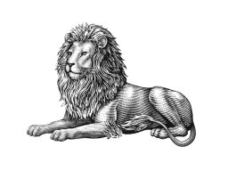 lion