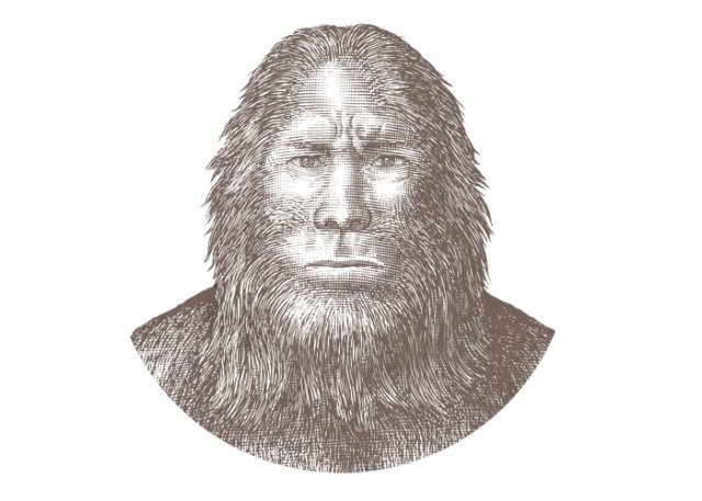 Sasquatch
