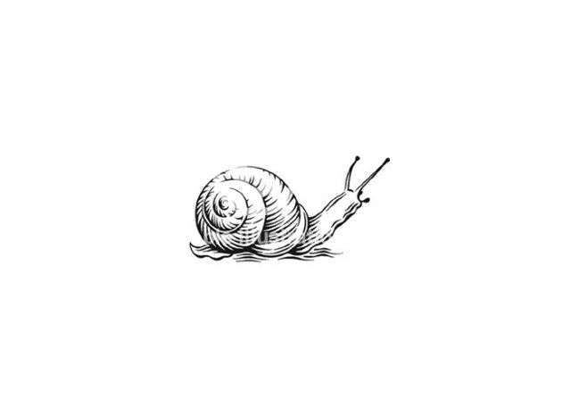 snail