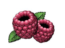 Raspberry