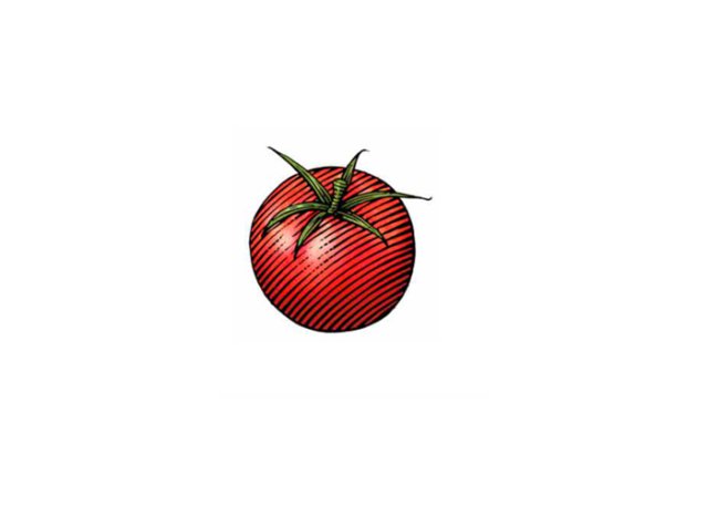 tomato